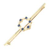 Sapphire & Pearl stock Pin