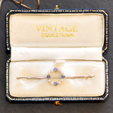 Pearl & Sapphire Stock Pin