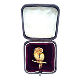 Owl Brooch