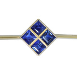 Sapphire Stock Pin